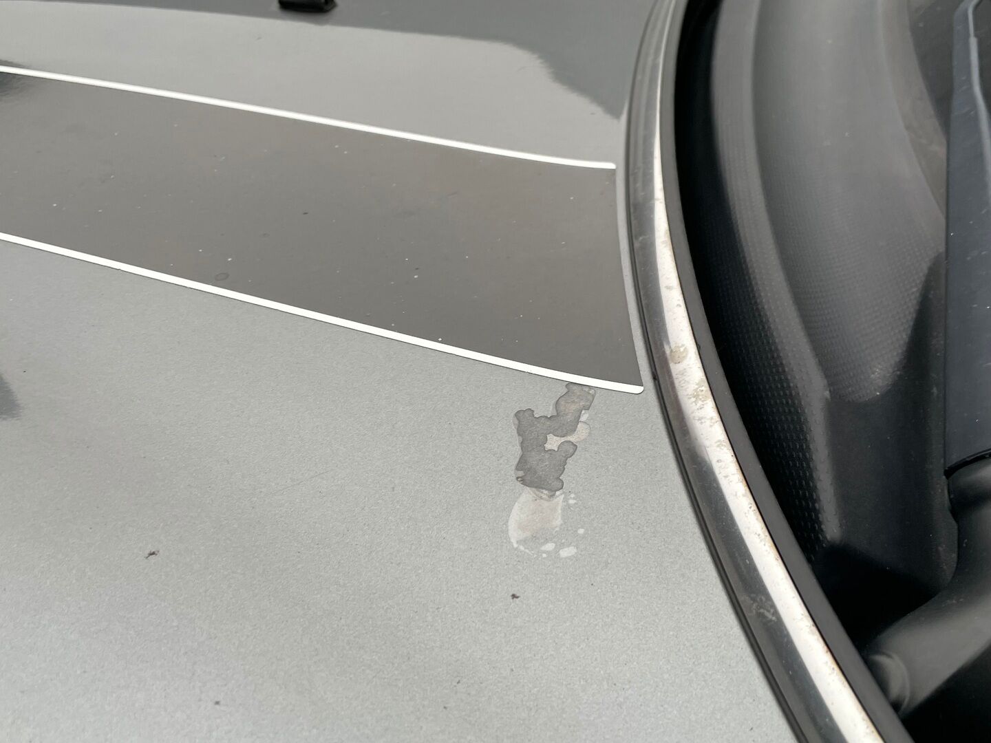 MINI COOPER 2010 R56 Hatchback * YritysOutlet - Myydään vain yrityksille / Vakkari - YritysOutlet - Myydään vain yrityksille / 2x Aluvanteet