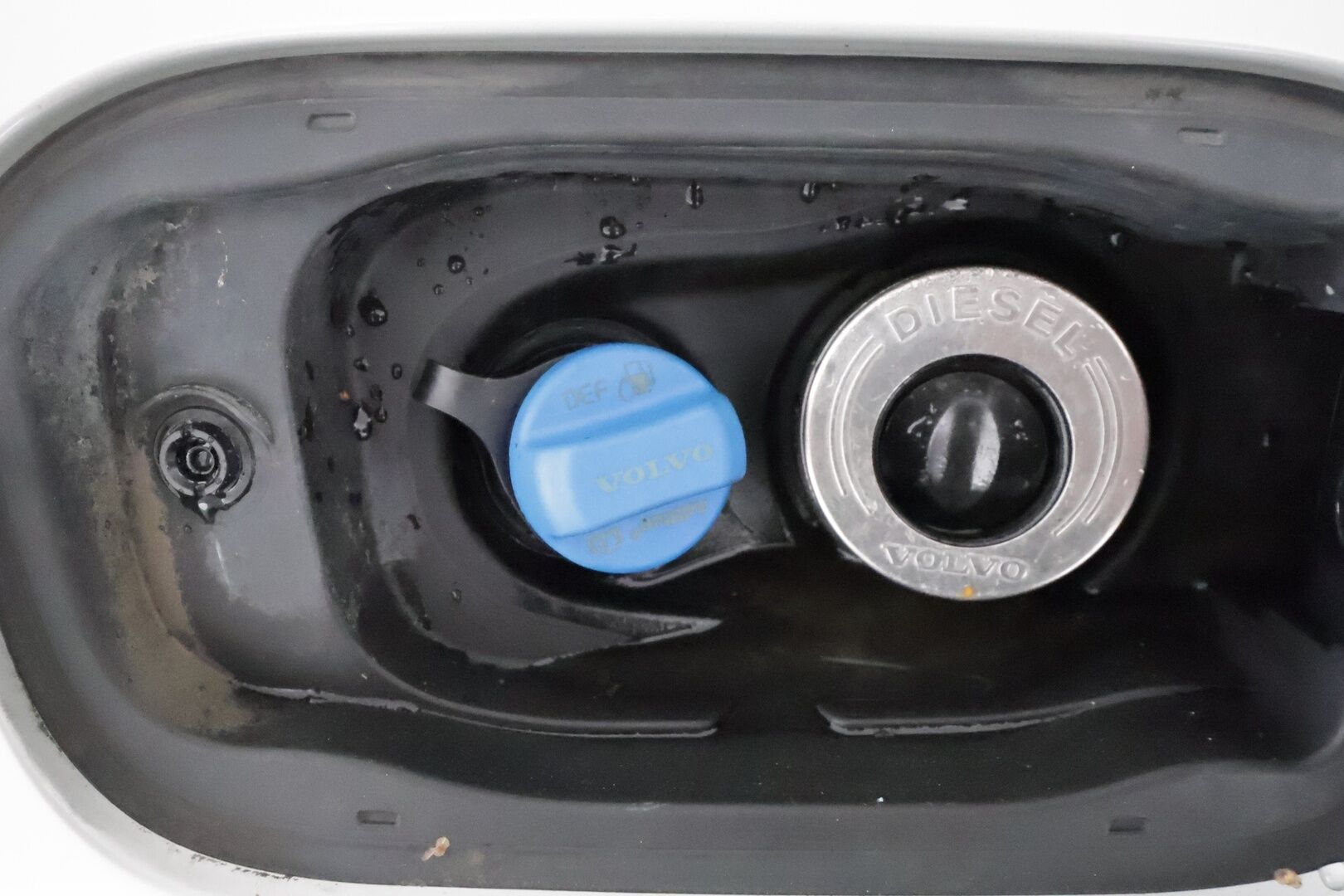 Volvo V60 2019 D4 Business Inscription aut **Adapt.vakkari / Full LED / H&K / Muistipenkki / P.kamera / Digimittaristo** - Suomi-auto / Kahdet renkaat aluvanteilla / Webasto