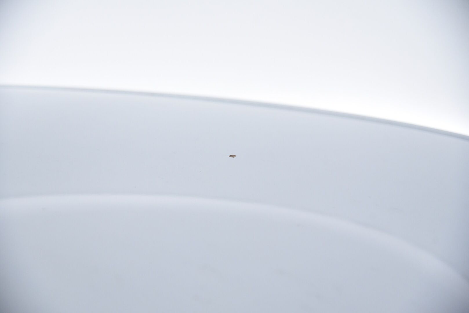 Volkswagen Polo 2003 2D POLO HATCHBACK 1.2-9N/245 / Tämä auto myydään YritysOutlet -valikoimasta vain yritykselle - 12kk leima! 