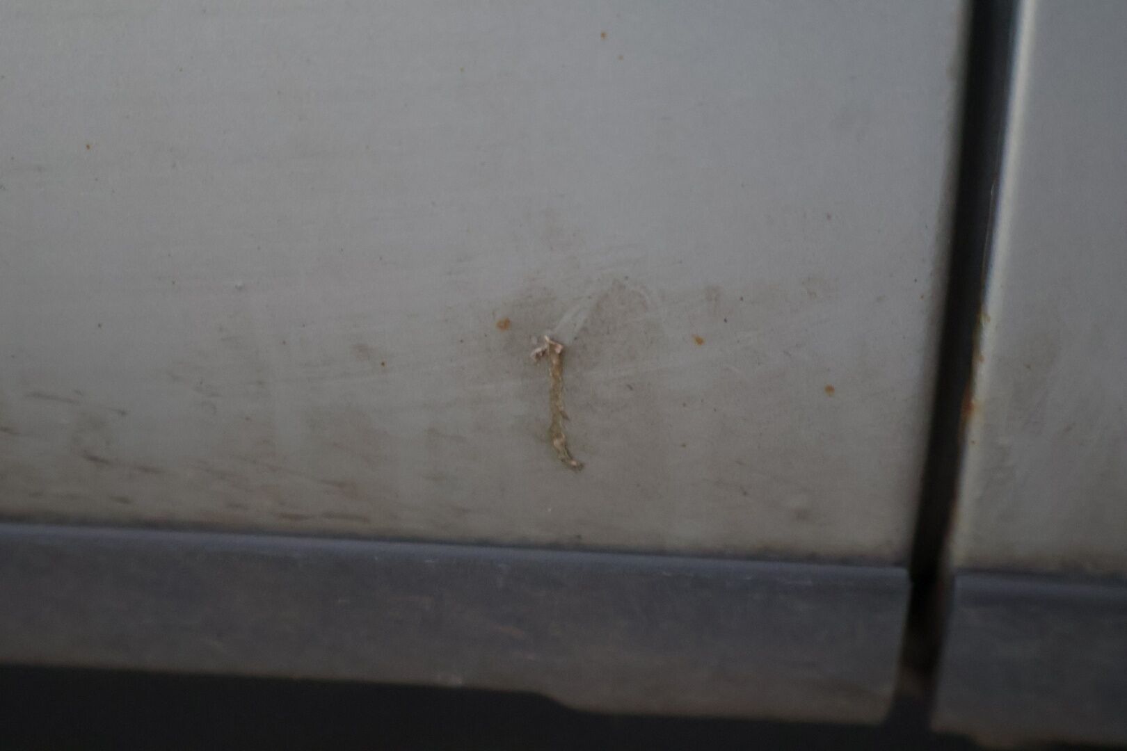 Ford Focus 2011 1,6 100 hv Trend Design M5 Wagon * Vakkari / Kahdet renkaat / Ilmastointi /  Thule Telineet * - Suomi-auto vankalla huoltohistorialla. Jakopää tehty. - HULLUT VÄLIPÄIVÄT KORKOTARJOUS 2,49%