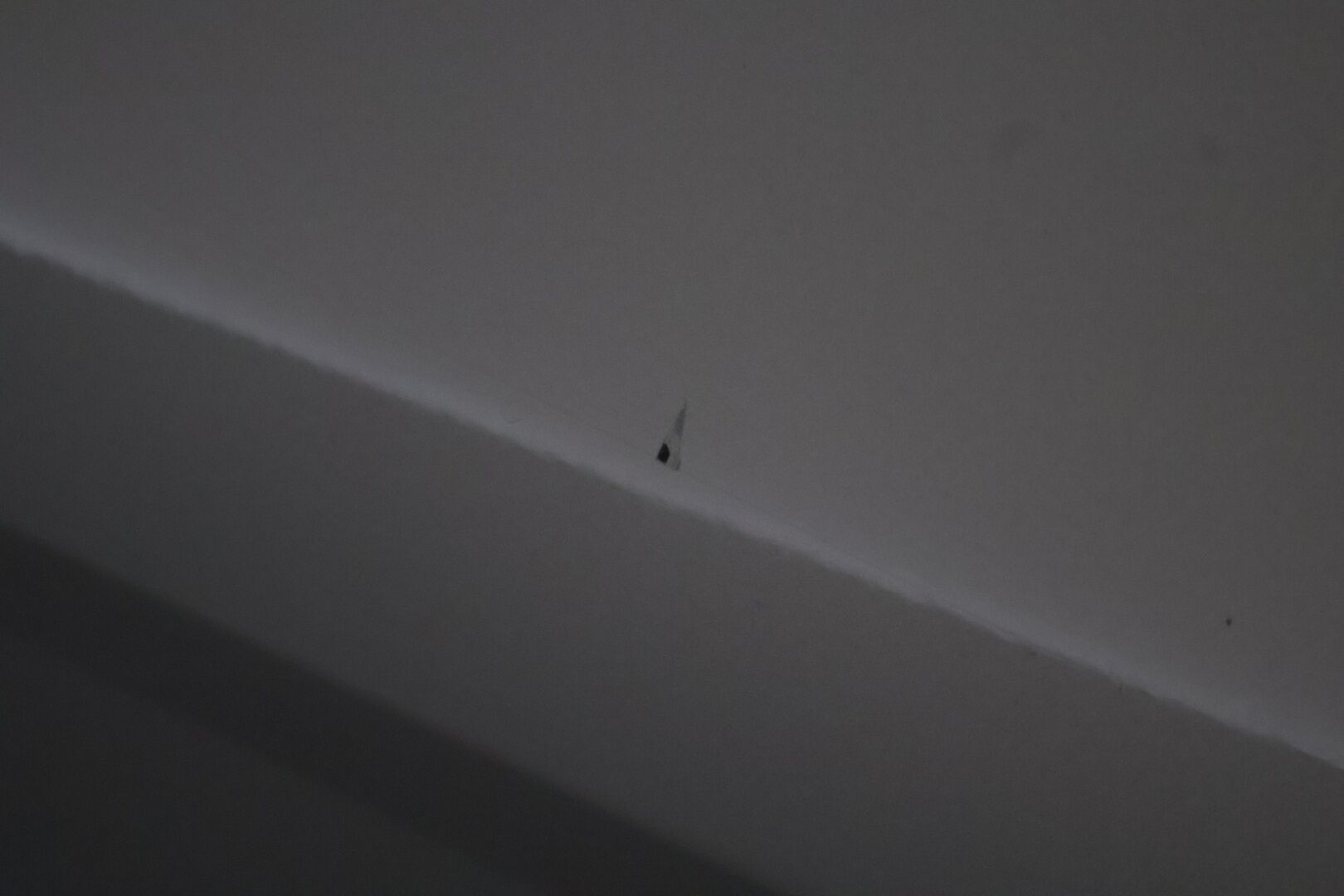 Ford Focus 2011 1,6 100 hv Trend Design M5 Wagon * Vakkari / Kahdet renkaat / Ilmastointi /  Thule Telineet * - Suomi-auto vankalla huoltohistorialla. Jakopää tehty. - HULLUT VÄLIPÄIVÄT KORKOTARJOUS 2,49%