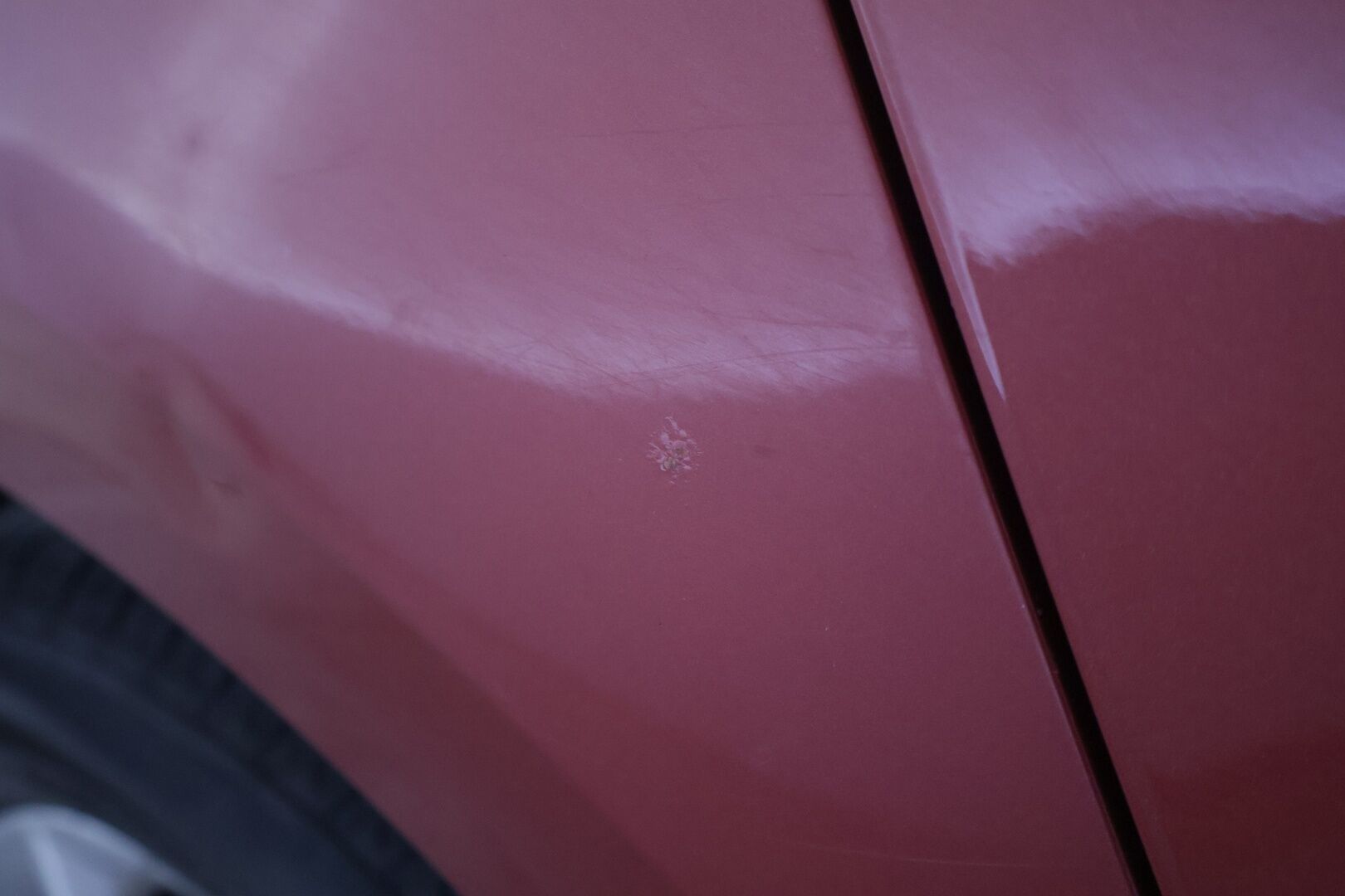 Skoda Octavia 2016 1,6 TDI Style DSG Autom. - * YritysOutlet - tämä auto myydään vain yrityksille *