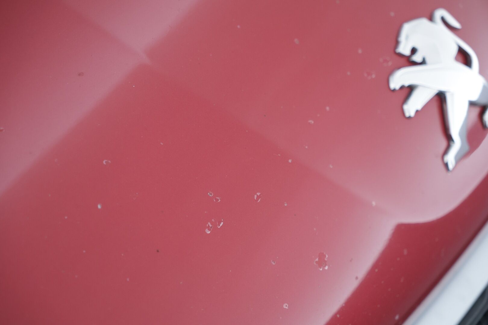 Peugeot 208 2013 Motion VTi 68 / Vakkari / 2x Renkaat / Huoltokirja / *YritysOutlet - Tämä auto myydään vain Yrityksille* - Juuri tehty jakopää! / *YritysOutlet - Tämä auto myydään vain Yrityksille*