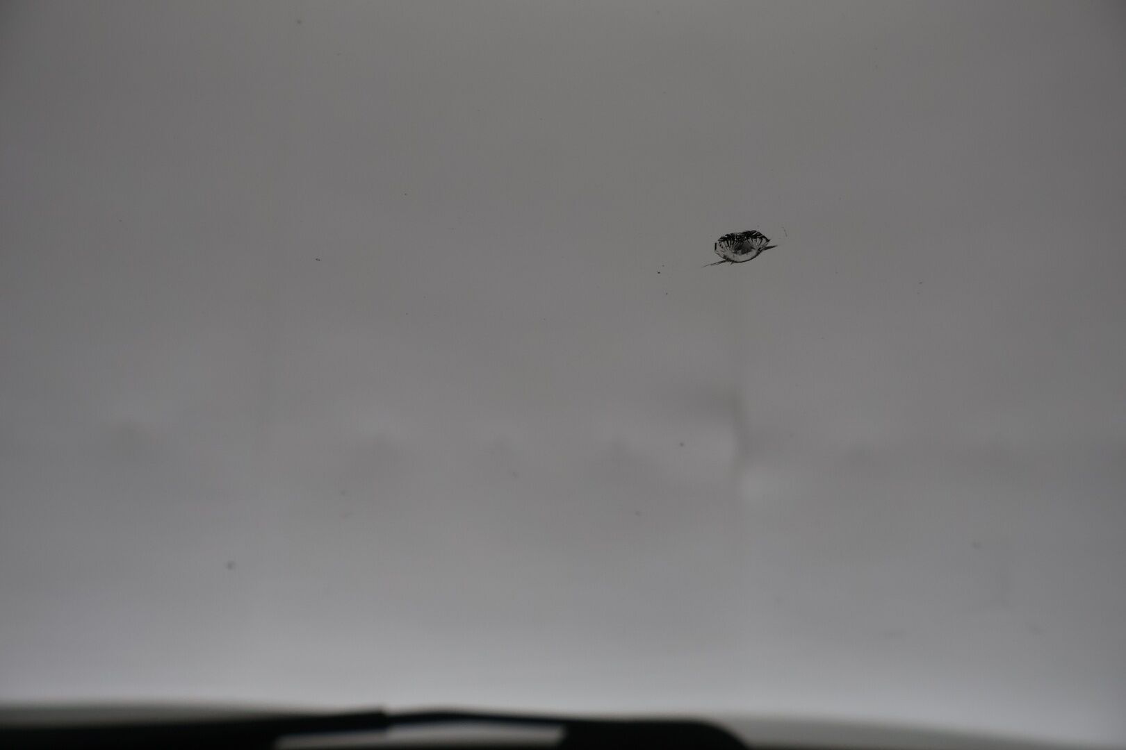 Nissan Qashqai 2016 DIG-T 115 Acenta 2WD Xtronic E6 Safety Pack Connect YritysOutlet - Myydään vain yrityksille - Juuri katsastettu / Lohko / Kahdet renkaat vanteilla / P-kamera /Suomi-auto /Isofix / Bluetooth / Tutkat edessä ja takana