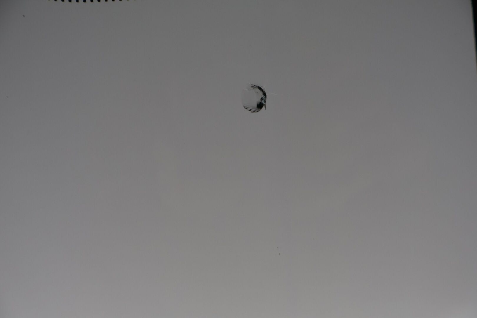 Nissan Qashqai 2016 DIG-T 115 Acenta 2WD Xtronic E6 Safety Pack Connect YritysOutlet - Myydään vain yrityksille - Juuri katsastettu / Lohko / Kahdet renkaat vanteilla / P-kamera /Suomi-auto /Isofix / Bluetooth / Tutkat edessä ja takana