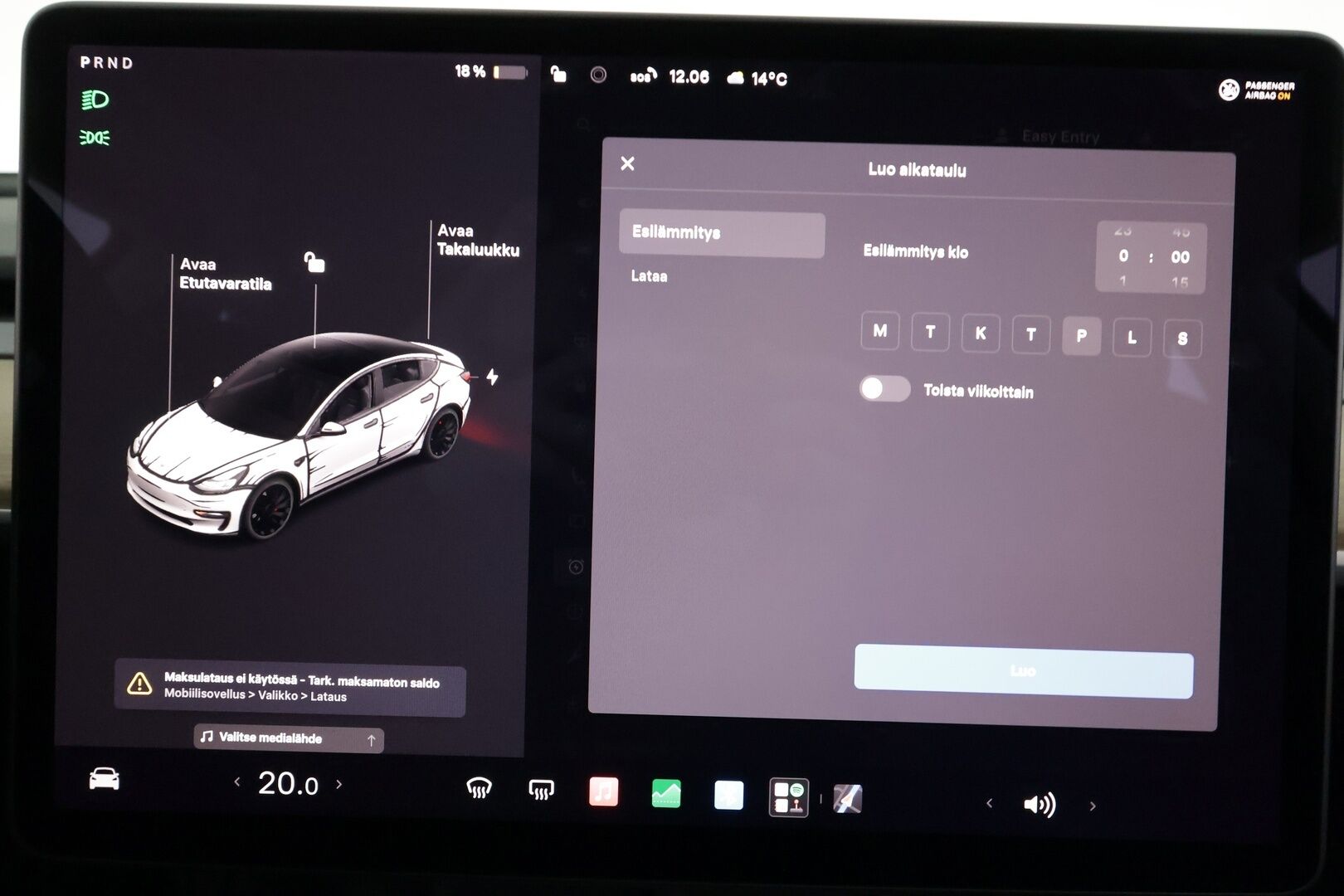 Tesla Model 3 2021 Performance