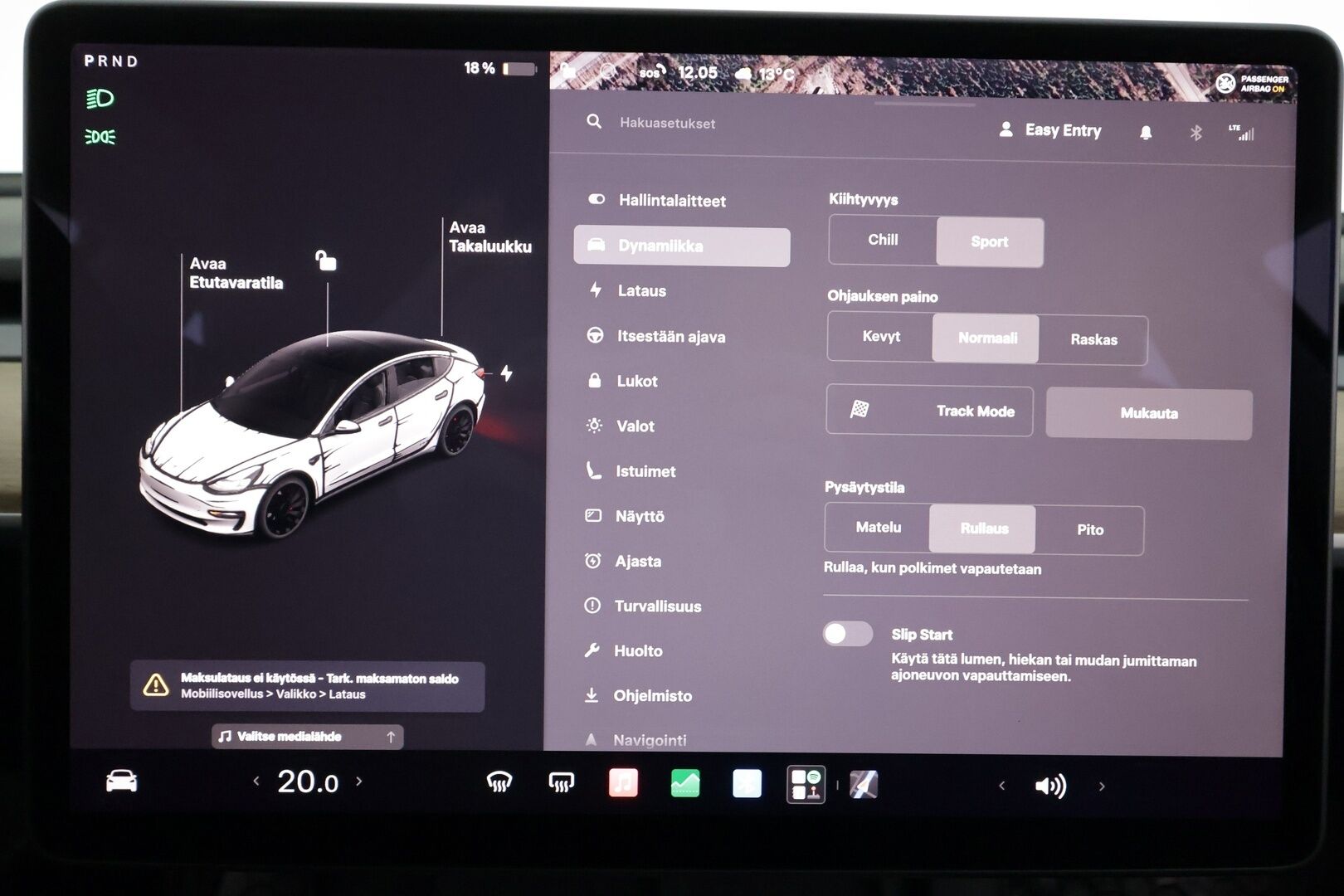 Tesla Model 3 2021 Performance