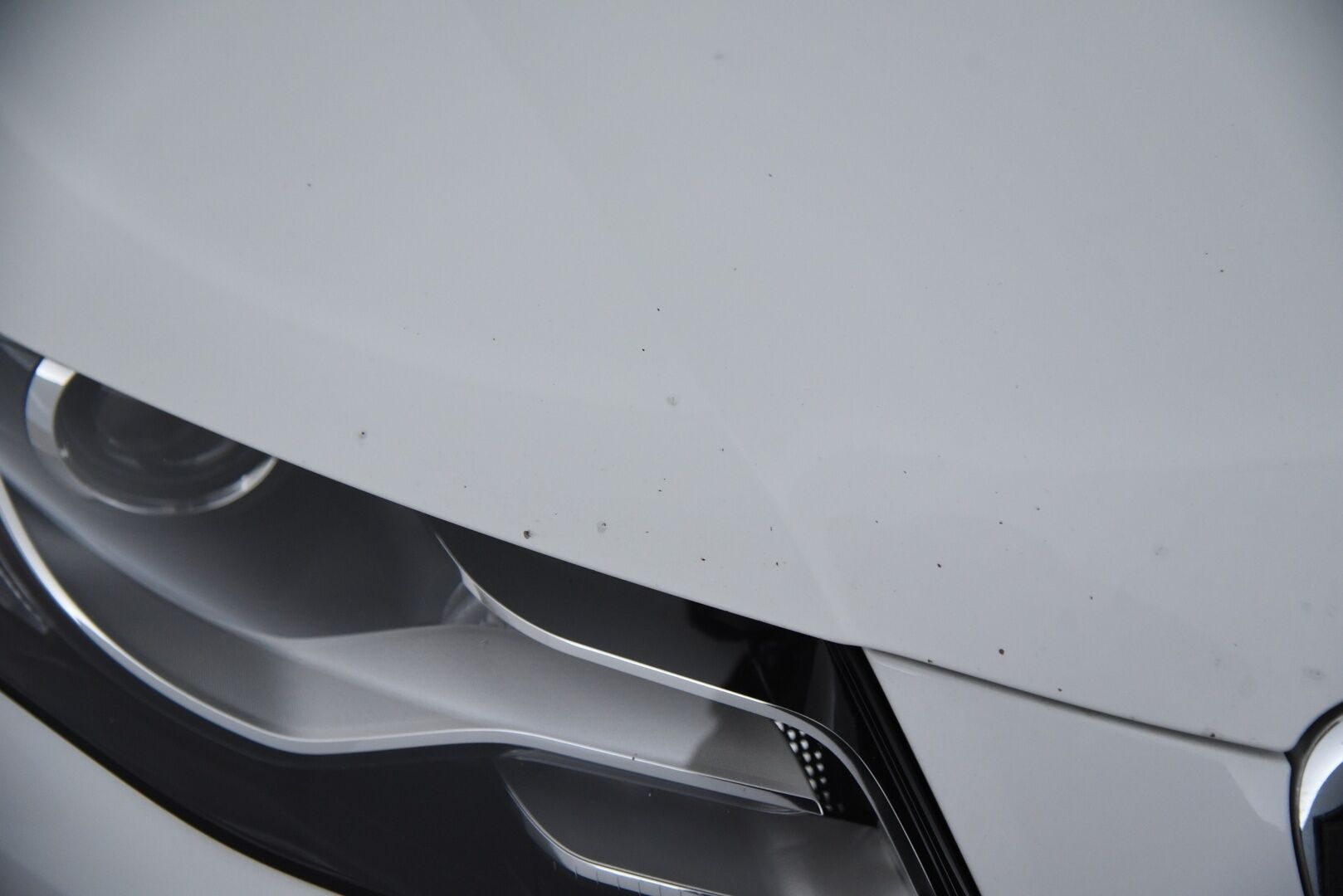 Audi A4 2010 Avant 2,0 TDI DPF multitronic Business /  YritysOutlet - Myydään vain yrityksille - YritysOutlet - Myydään vain yrityksille