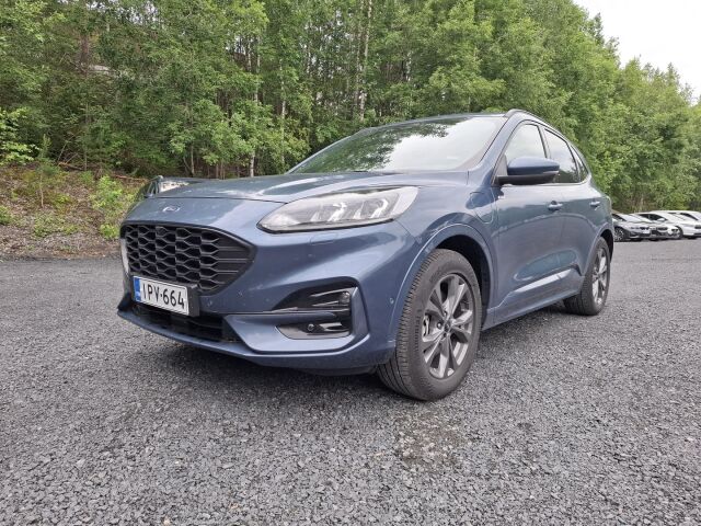 Ford Kuga -kuva