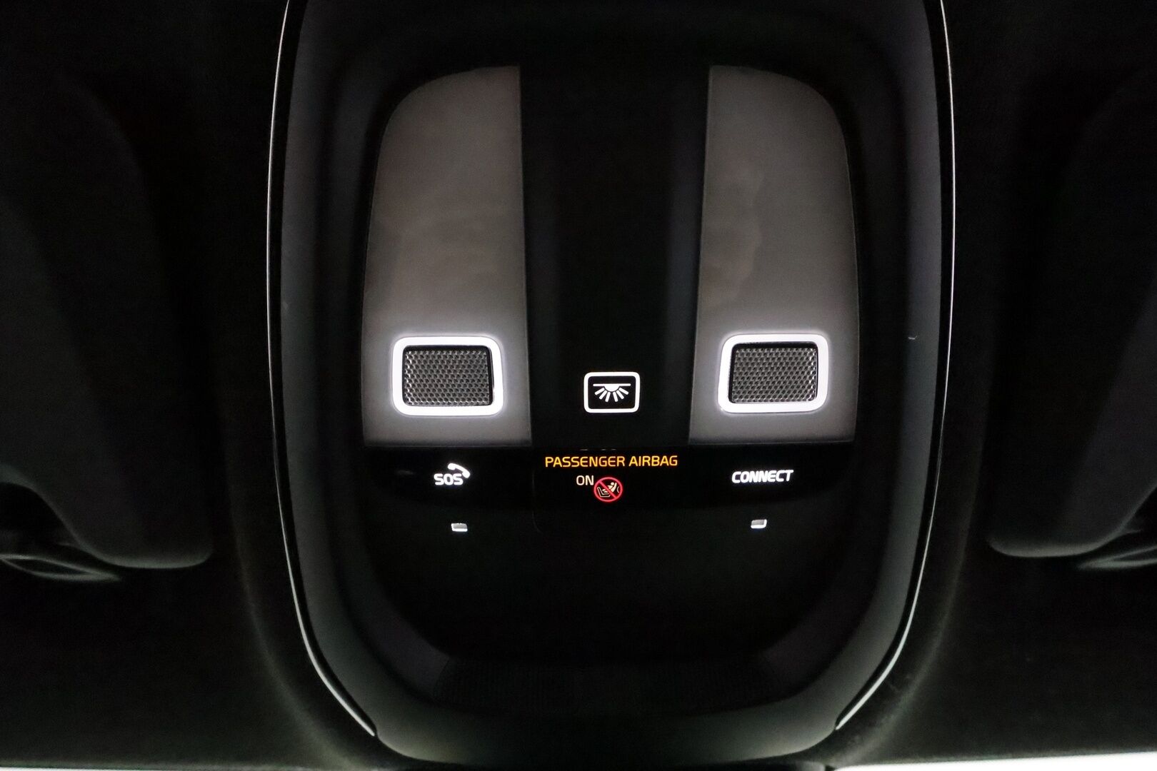 Polestar 2 2021 Performance *ACC / H&K / 360° / Muistipenkki / Pixel LED / Lasikatto / Navi / BLIS / KeylessGo* - Akku kuntotarkastettu!