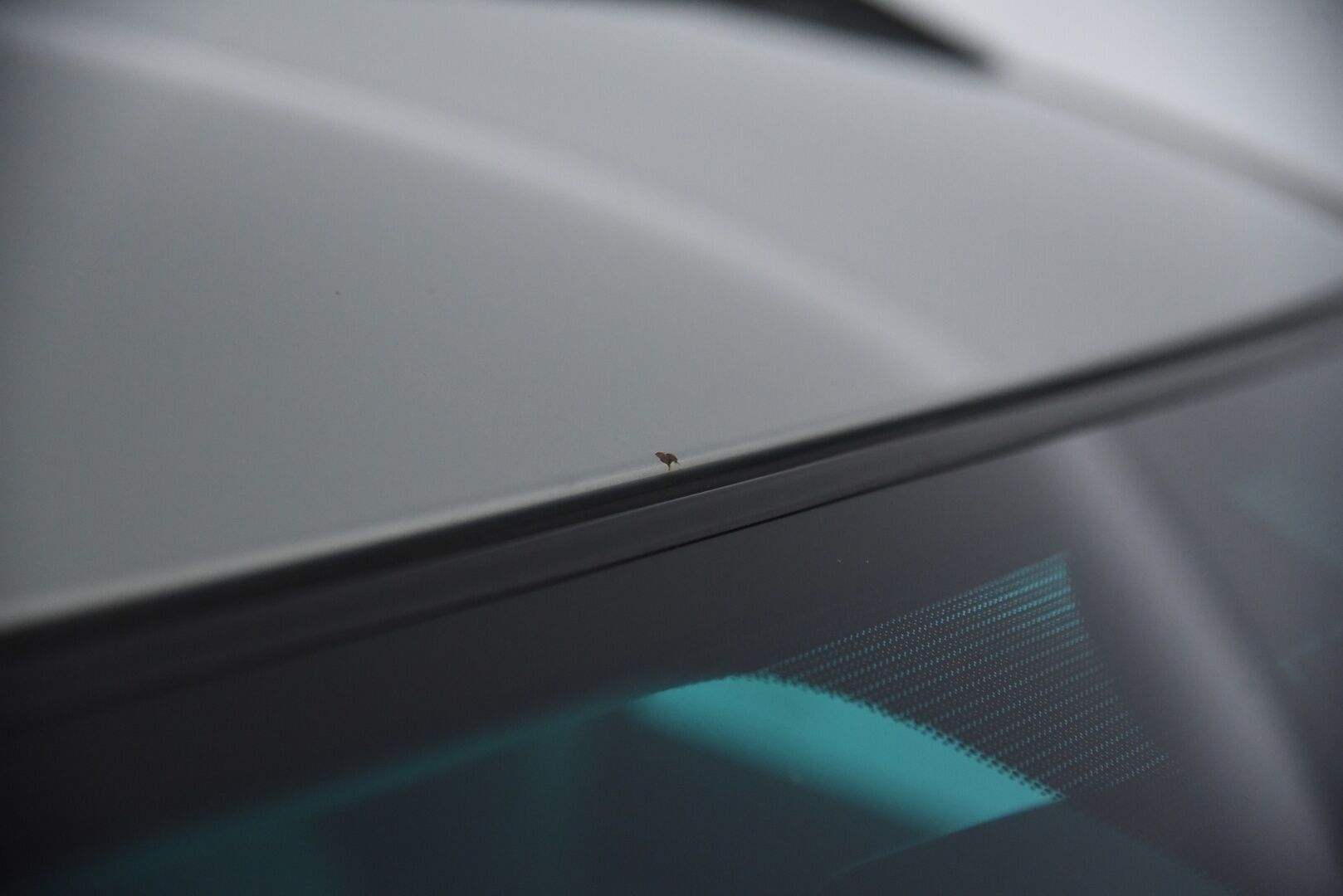 Lexus RX 2007 400h 4WD / YritysOutlet - Myydään vain yrityksille / - Siisti! / Juuri katsastettu / Hyvät varusteet / 3-om. Suomi-auto / Täydellinen huoltohistoria!