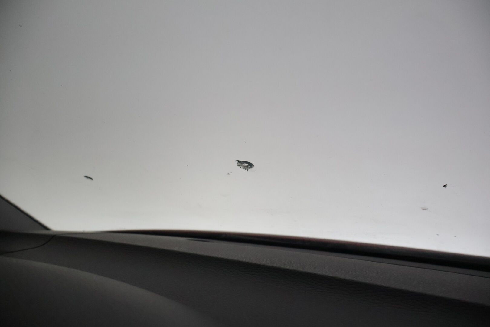 Volkswagen Multivan 2004 5D MULTIVAN MPV 2.5TDI-7HM/300 - *YritysOutlet - Myydään vain yrityksille*