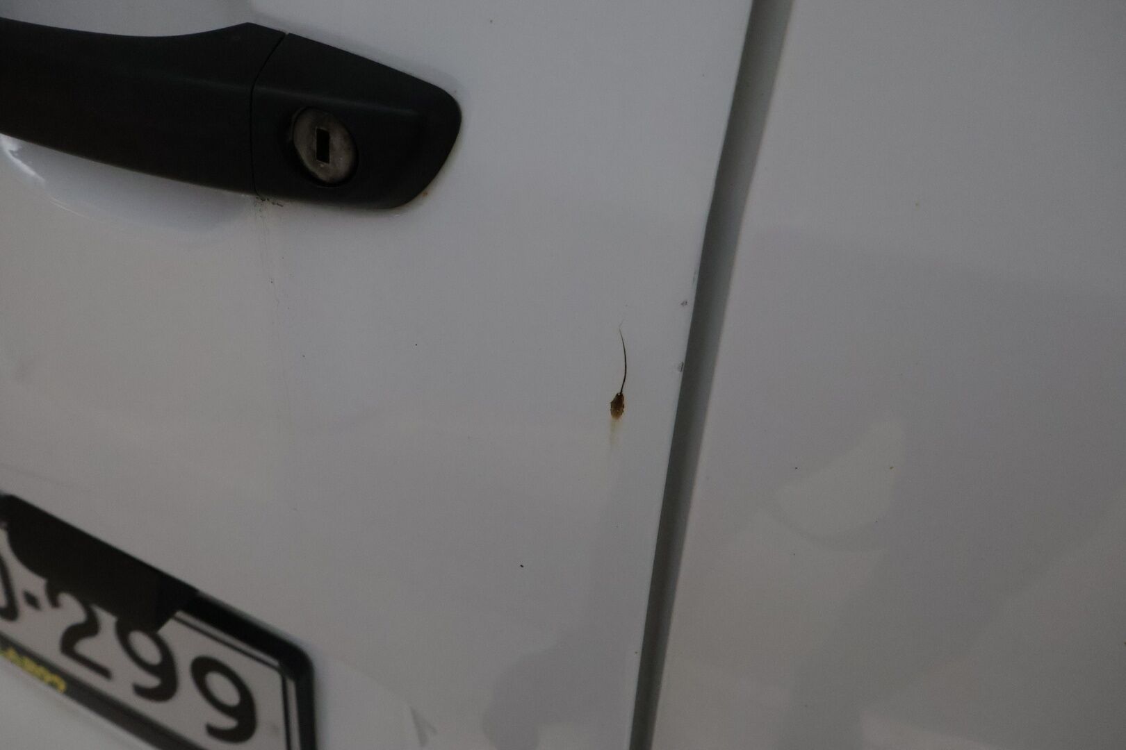 Peugeot Partner 2018 Van L1 BlueHDi 100 FAP ETG6 - YritysOutlet - Myydään vain yrityksille - - YritysOutlet - Myydään vain yrityksille