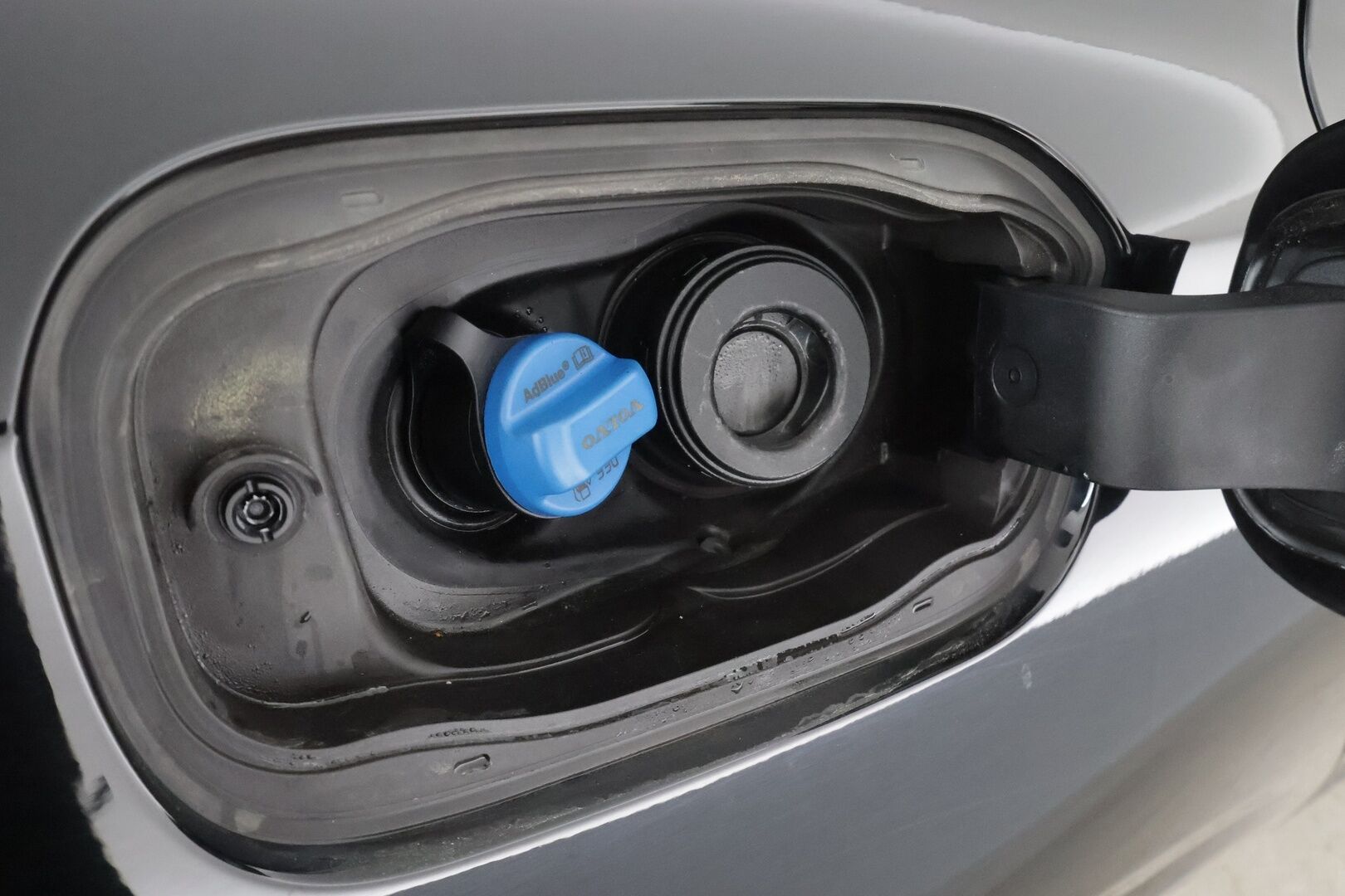 Volvo V60 2021 B4 D-MHEV Business aut * Webasto / ACC / LED / P.tutka / Navi / Kaistavahti / Keyless * - 1-om Suomi-auto / Kahdet renkaat aluvanteilla / Merkkihuollot