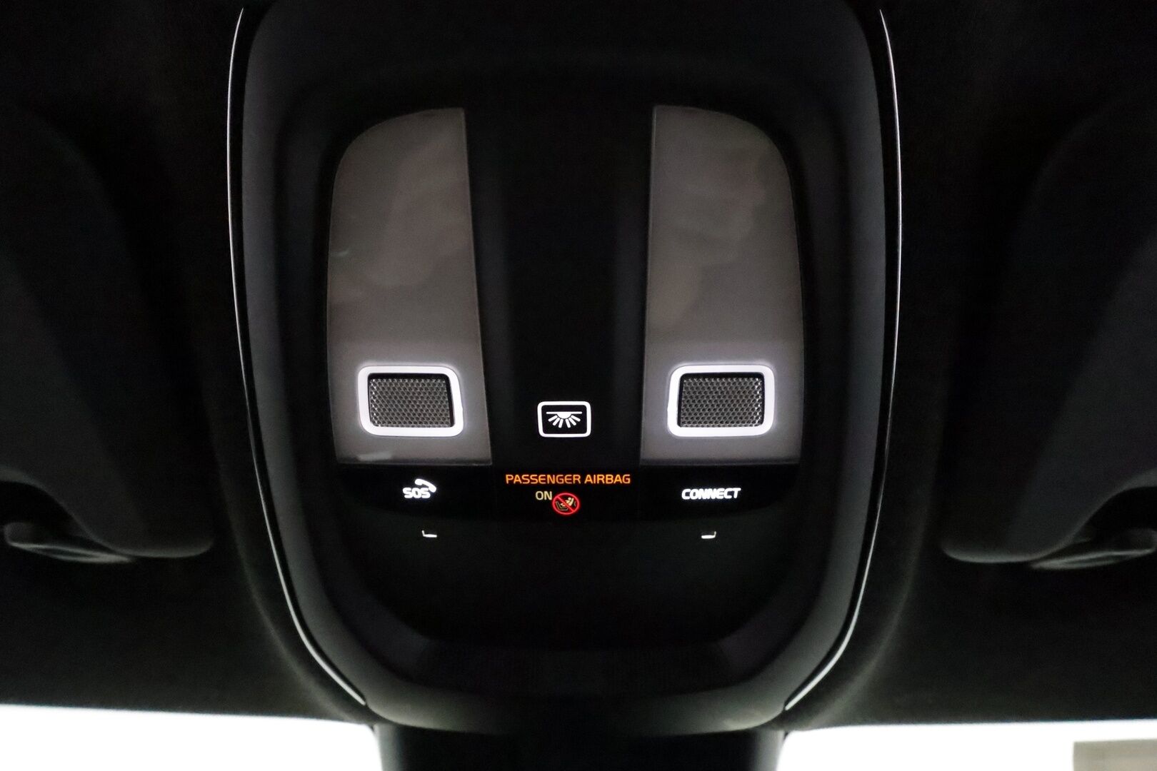 POLESTAR 2 2021 Long Range Dual Motor **Plus&Pilot / Lasikatto / Pixel-LED / Adapt.Vakkari / H&K / 360° / Koukku** - Kahdet Renkaat