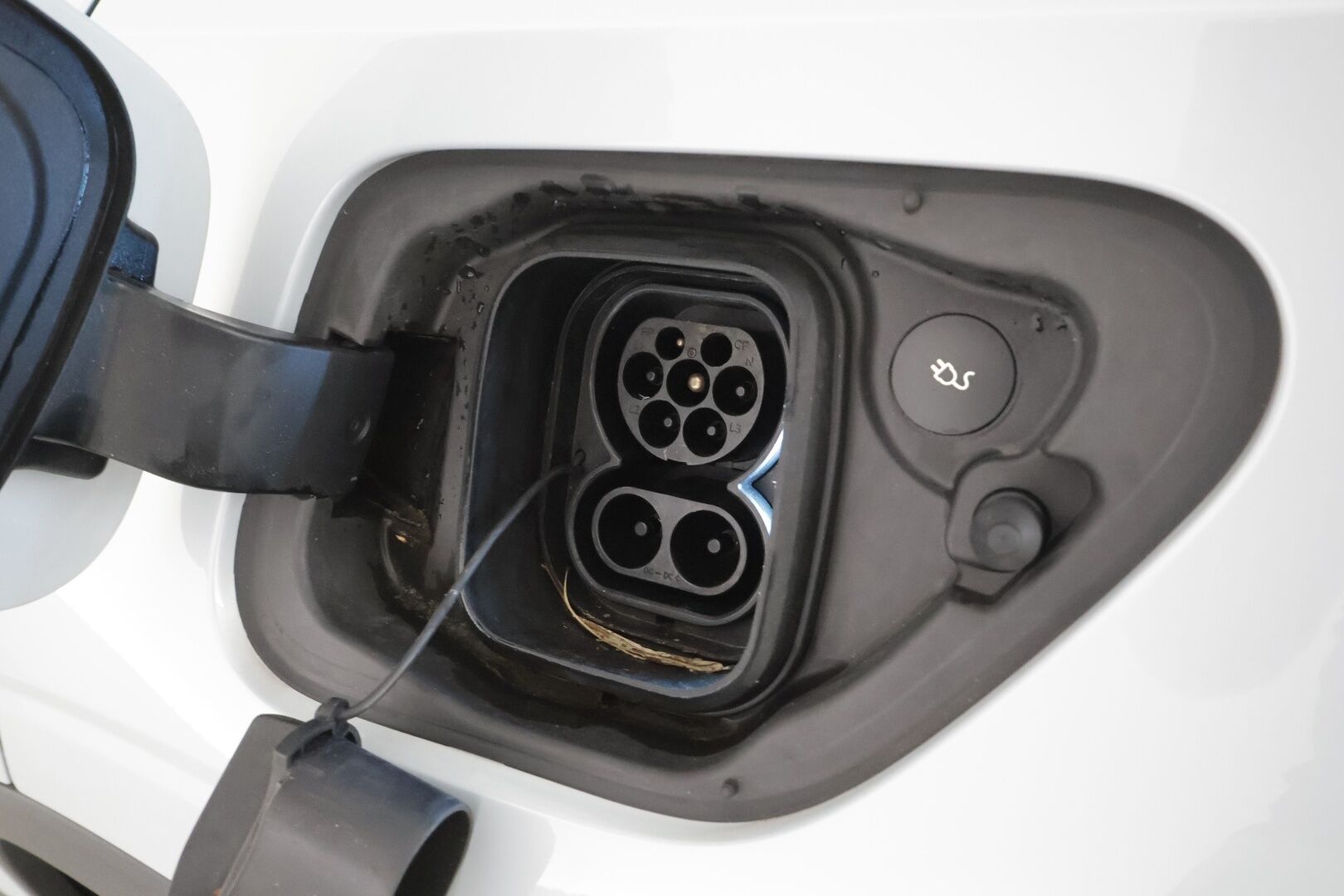 POLESTAR 2 2023 Long Range Dual Motor, 300kW - | ACC | ILP | Pilot Lite & Plus | 360° | Harman/Kardon | Muistipenkki | Sporttipenkit | Lasikatto | BLIS | Akuston esilämmitys | ALV | 