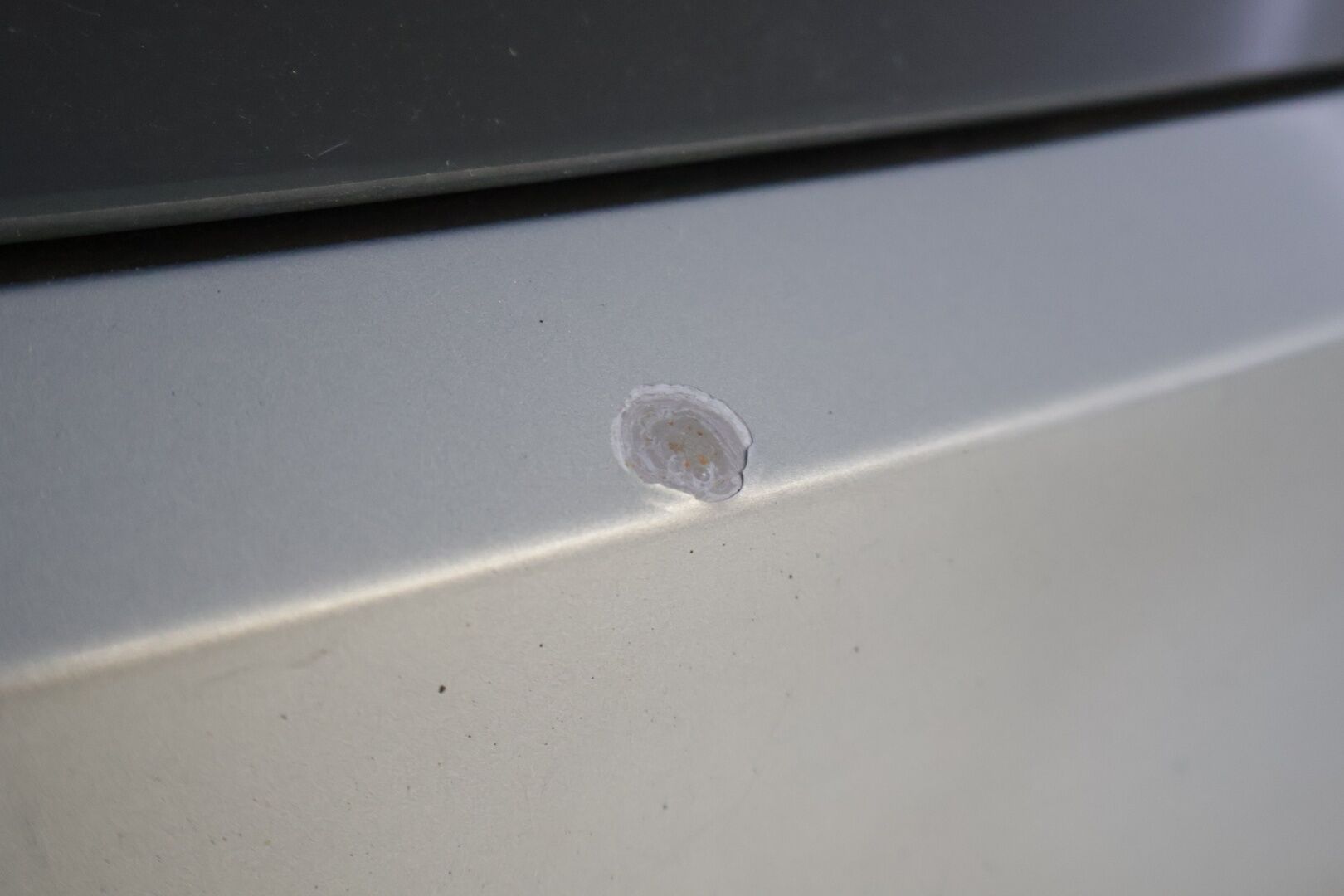 BMW 325 2006 325i Farmari (AC) 4ov 2497cm3 A - | Myydään vain huutokaupat.com | Ketju tehtynä | Lasikattoluukku | Vakionopeudensäädin | - KORKO VAIN 3,99 %