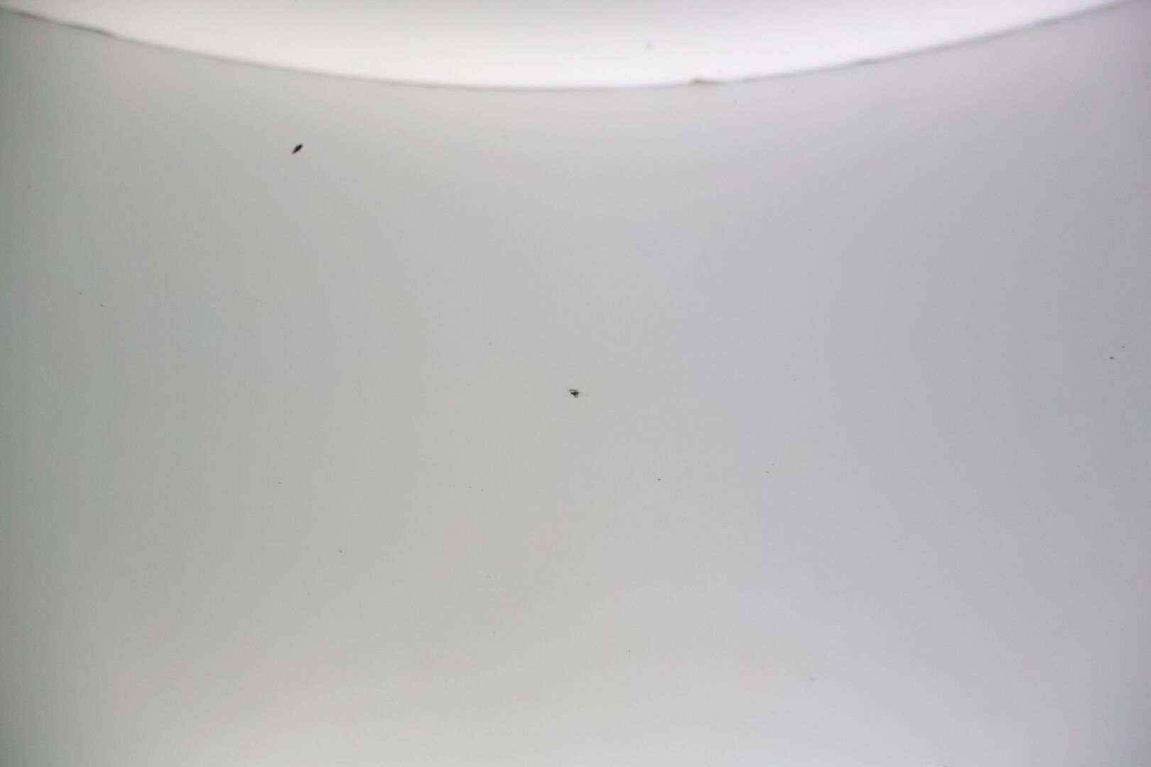 Volvo V70 2010 1,6D DRIVe Momentum Business - *Tämä auto myydään YritysOutlet -valikoimasta vain yritykselle*