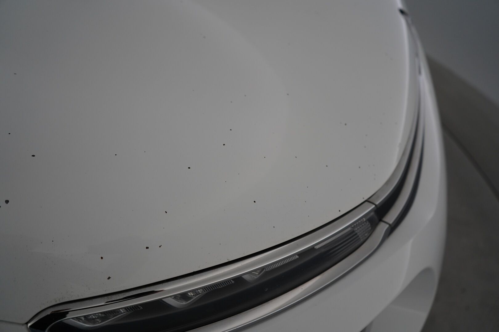 Citroen C3 2019 - YritysOutlet - Myydään vain yrityksille - Tutka / Vakkari / Jakohihna vaihdettu 143tkm 05.2025