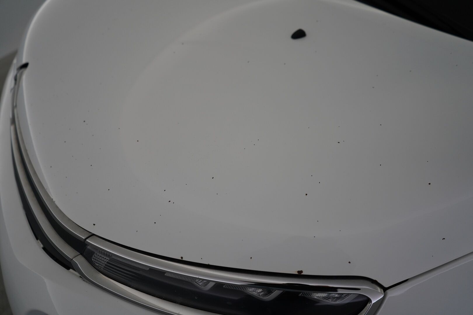 Citroen C3 2019 - YritysOutlet - Myydään vain yrityksille - Tutka / Vakkari / Jakohihna vaihdettu 143tkm 05.2025