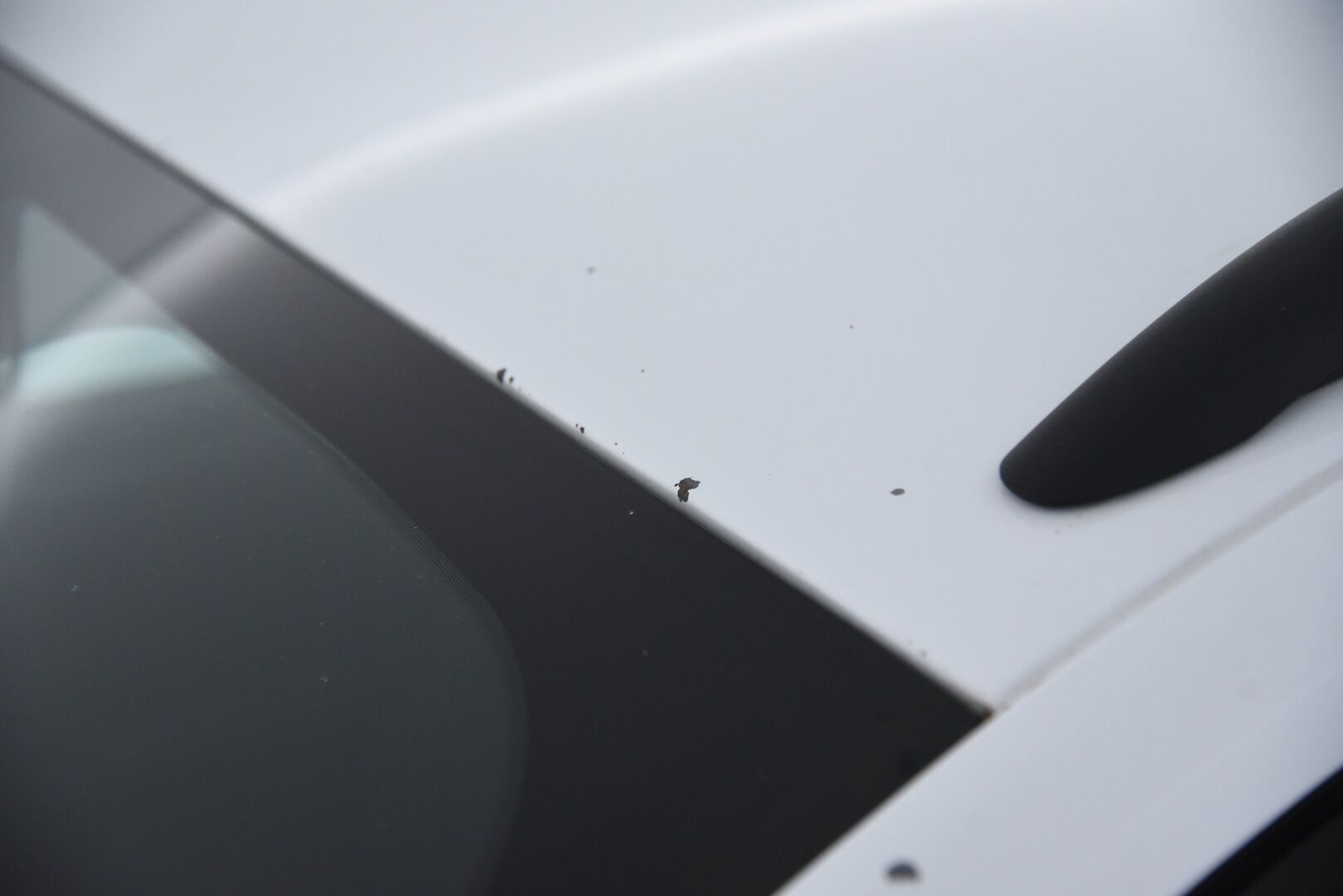 Ford Mondeo 2017 2,0 TDCi 180hv PowerShift AWD ST-Line Wagon / Webasto / Koukku / Vakkari / YritysOutlet - Myydään vain yrityksille - Lue kuvateksti! / YritysOutlet - Myydään vain yrityksille