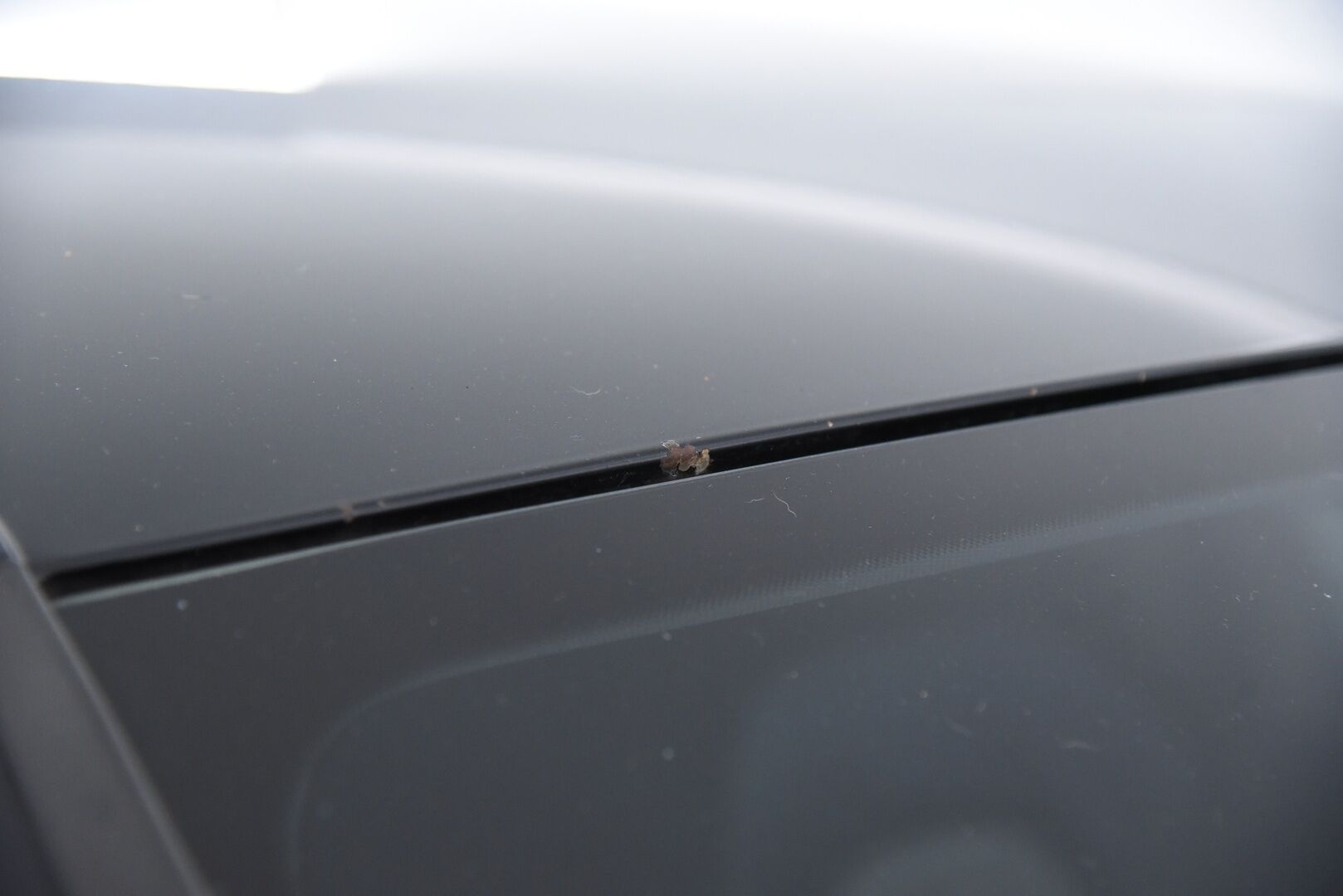 Audi A5 2010 Sportback Business 2,0 TFSI 155 kW quattro S tronic-autom. / YritysOutlet - Myydään vain yrityksille / - / Vakkari / Suomi-auto / Nahat / Sporttipenkit / Kunnon torseni! / Huoltokirja / Lohko+sisäp. / Bi-Xenon /