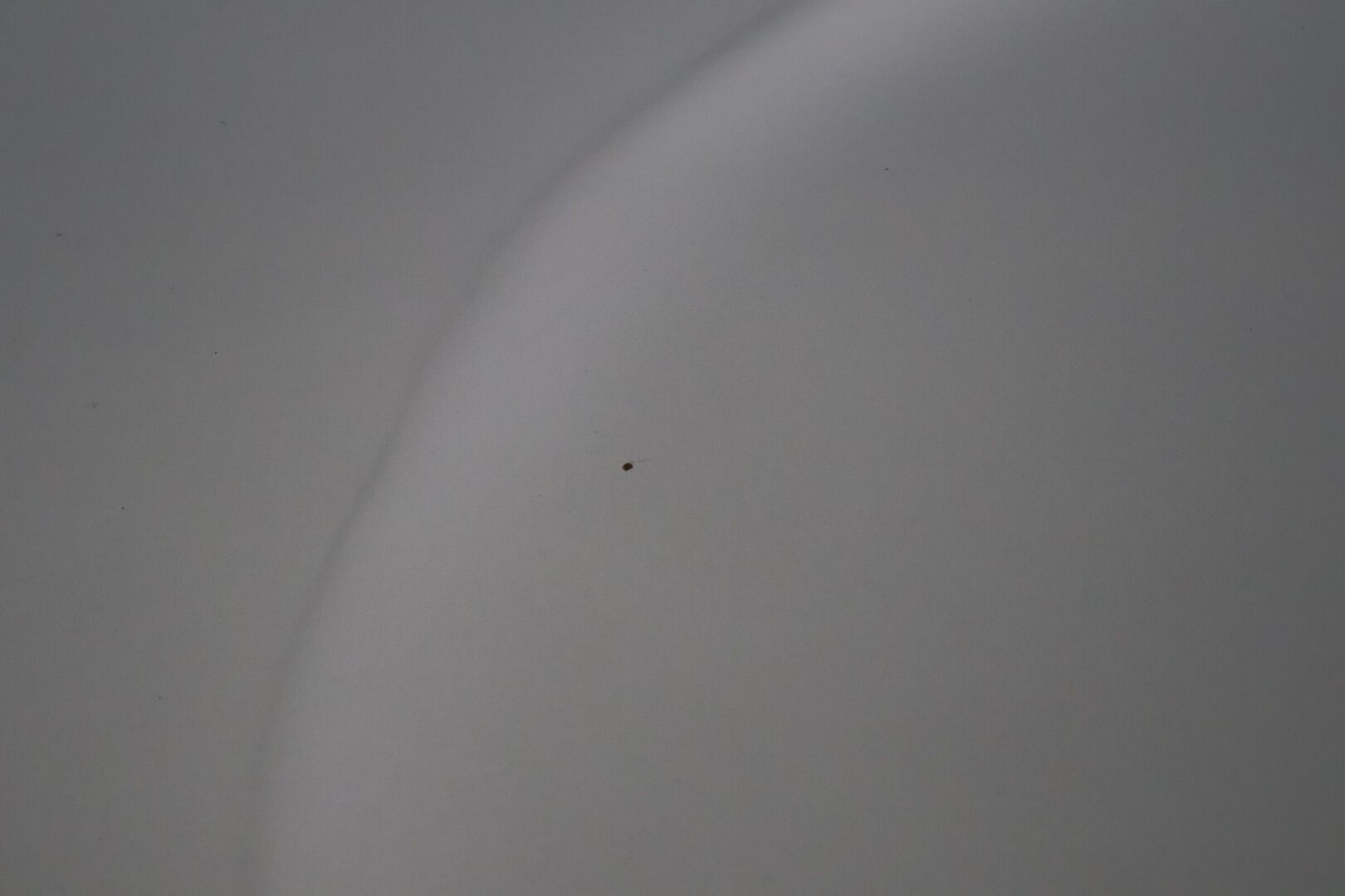 Ford Focus 2010 1,8 125 hv FlexiFuel Trend Design M5 Wagon / YritysOutlet - Myydään vain yrityksille - Tuore Leima / 2x renkaat ja huoltokirja!