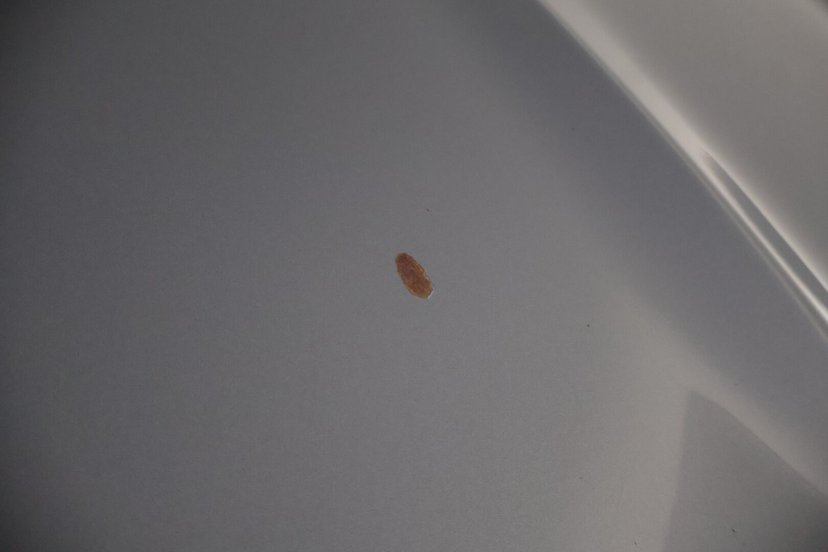 Nissan Qashqai 2010 2,0 Acenta 6 MT 2 WD RPS APR09 * Vakkari / Lohko / Tutkat / Koukku / Autom.ilmastointi 2-alueinen / 2x hyvät renkaat * - * Juuri saapunut / Siistikuntoinen / Hyvin huollettu * - HULLU BLACKWEEK KORKOTARJOUS 2,49%