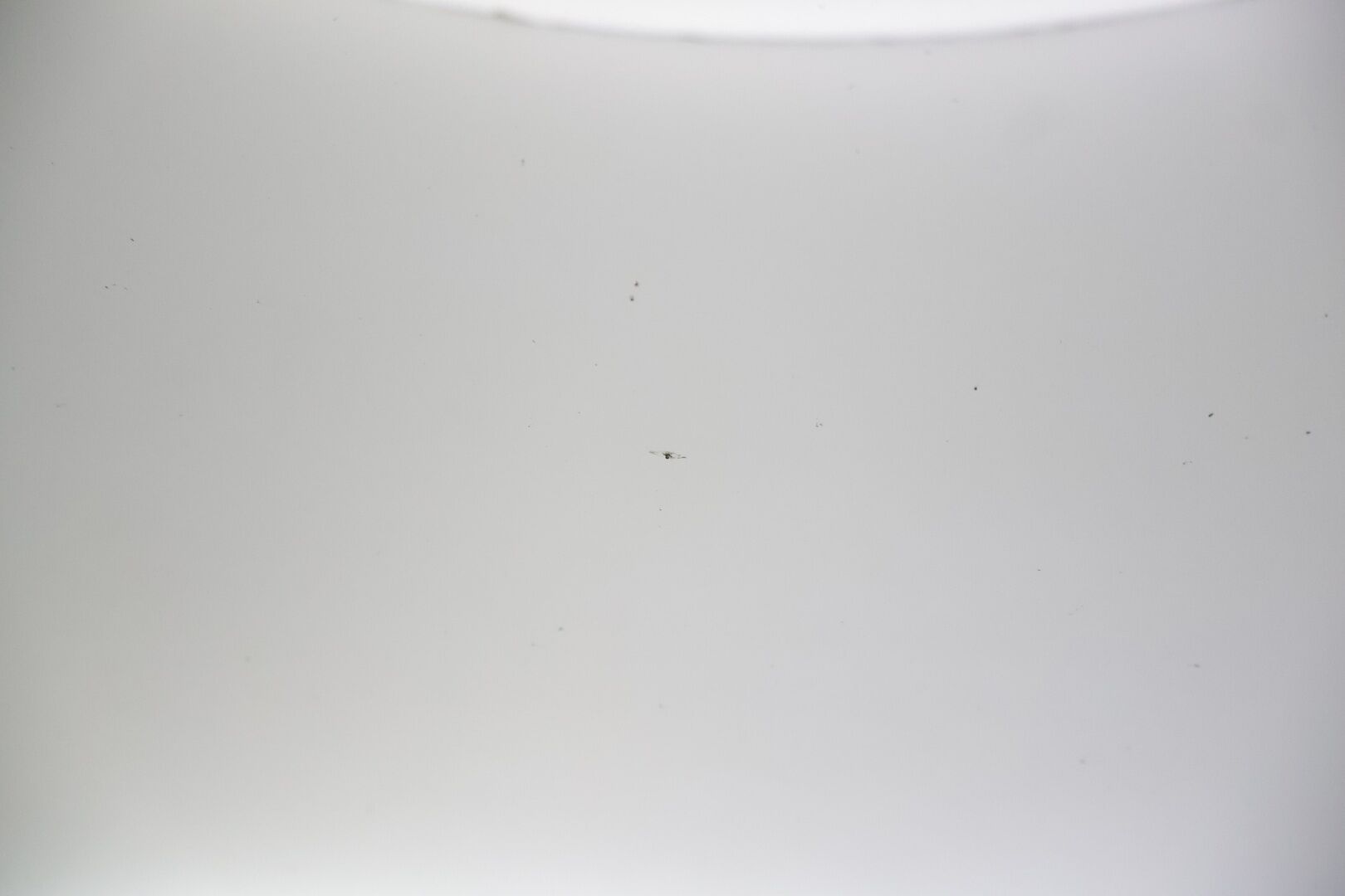 Skoda Octavia 2007 4D OCTAVIA RS COMBI 2.0TD *Yritys Outlet - Myydään vain yrityksille! / Webasto / Vetokoukku / Lohko / Vakkari / Kattokaiteet / Isofix / Kahdet renkaat / *