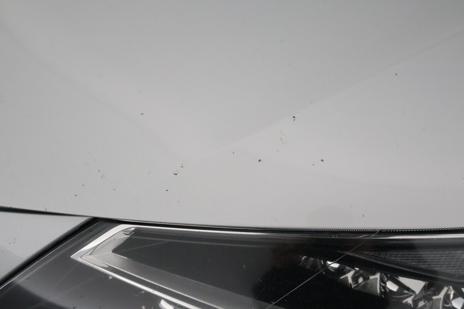 Seat Leon 2017 2,0 TSI 290 Cupra DSG | Adapt. vak | Downpipe | Kattoluukku - – Tämä auto myydään YritysOutlet -valikoimasta vain yritykselle
