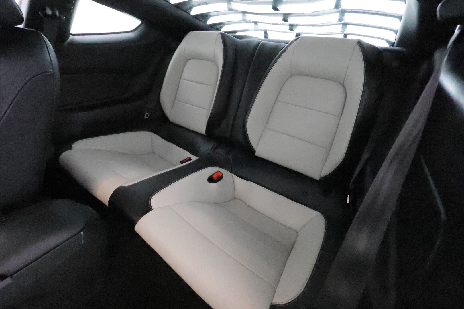 Ford Mustang 2019 2,3 EcoBoost 290hv A10 Fastback **B&O / Adapt.Vakkari / Digimittaristo / Xenon / P.kamera / Navi / Kaistavahti / Ilmastoidut Nahat** - Merkkihuollettu, kovilla varusteilla oleva, näyttävä Suomi-auto kaksilla renkailla ja vanteilla!