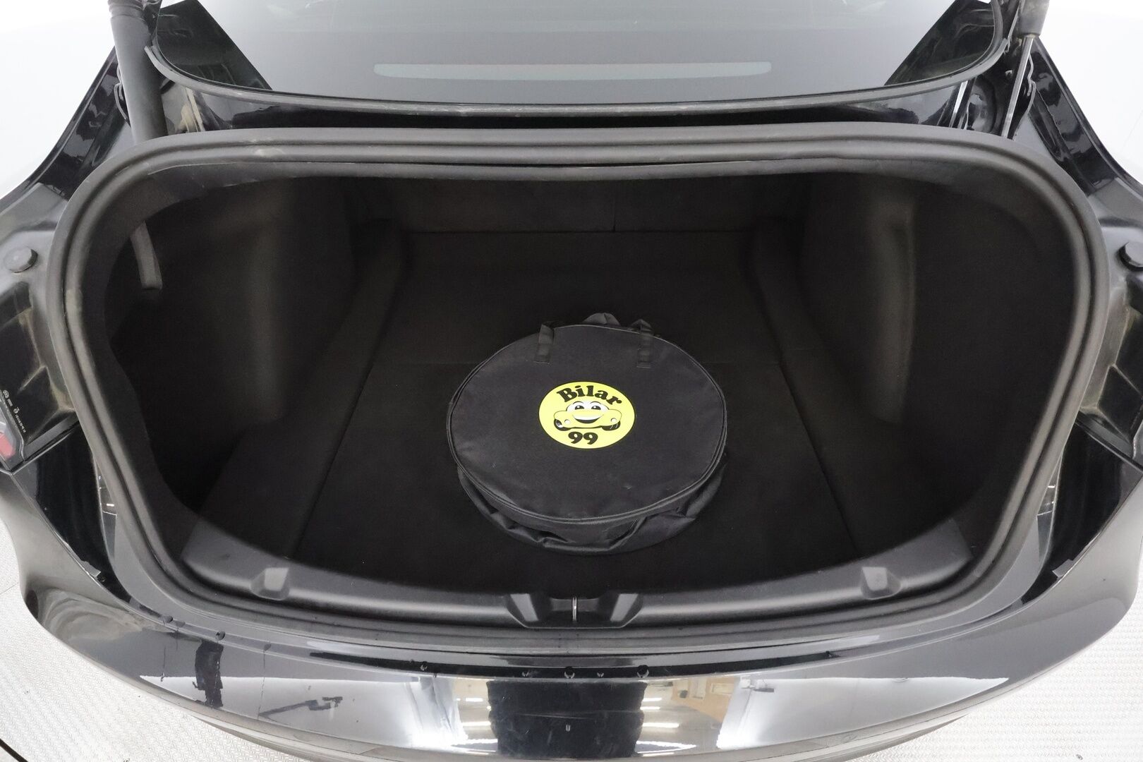 Tesla Model 3 2021 Standard Range Plus