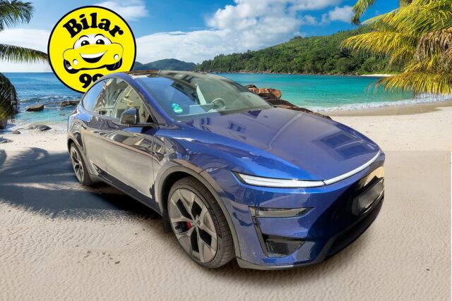 TESLA MODEL Y 2025